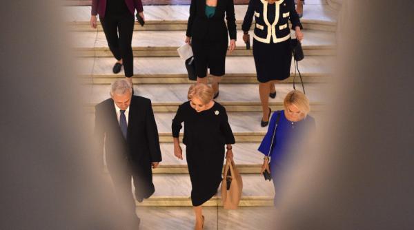 mihai fifor dragnea urma sa si anunte candidatura dancila nu cunostea sondajele