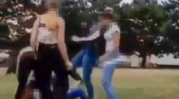 austriaca de 13 ani batuta de o romanca in viena politistii au intervenit