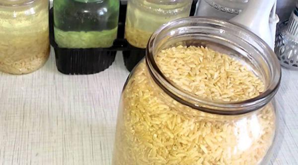 bancul zilei intelegere intre soti