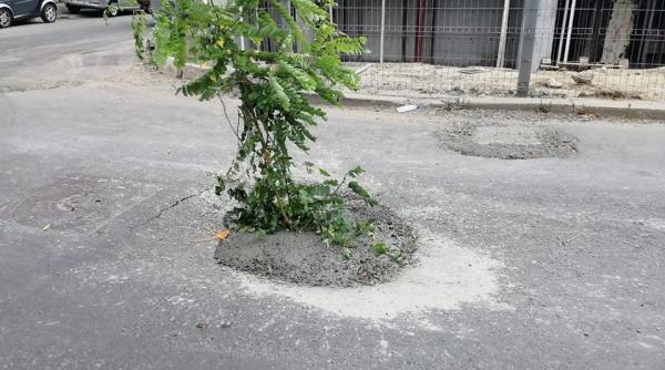 caz absurd la galati creanga folosita la semnalizare lasata intr o groapa betonata