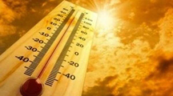 cod rosu de canicula in italia