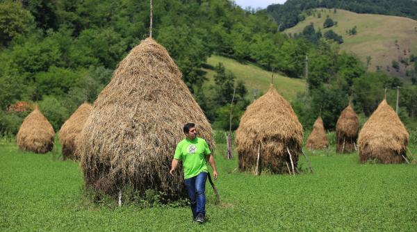 avem o tara frumoasa cum ajungem la ea