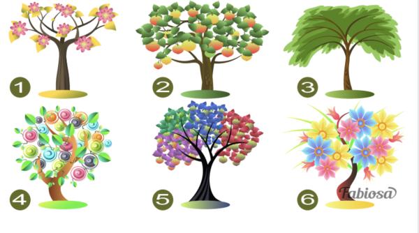testul copacului dezvaluie trasaturile dominante de personalitate alege un copac si vezi ce spune asta despre tine