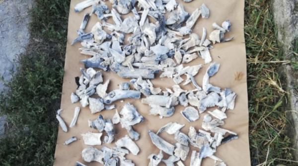 crima caracal semne majore de intrebare dupa descoperirile in cazul alexandrei