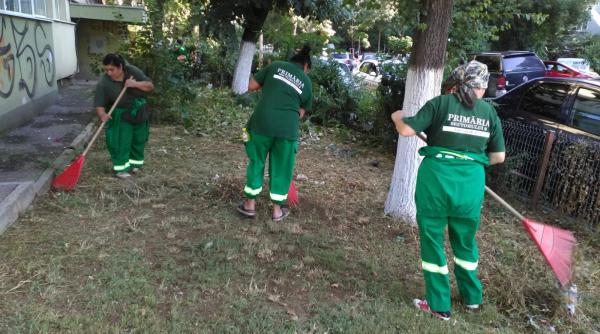 primaria sector 6 distribuie gratuit seminte de gazon pentru asociatiile de proprietari