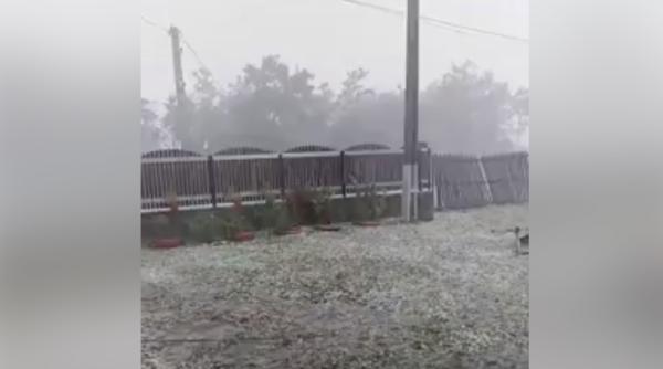 cod portocaliu in arges peisaj de iarna foto video