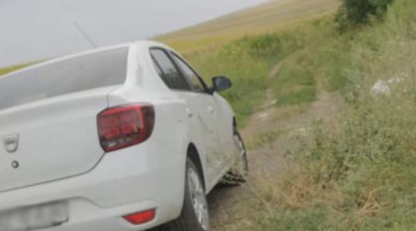 au reaparut loganul gri si loganul alb lovitura adevarul despre spaima soferilor