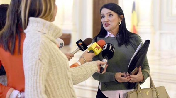 sorina pintea in control la spitalele de psihiatrie din tara