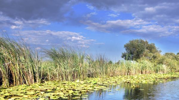 august plin septembrie promitator in delta dunarii