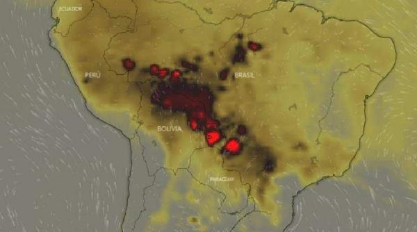 sos amazonia chemare la proteste in intreaga lume