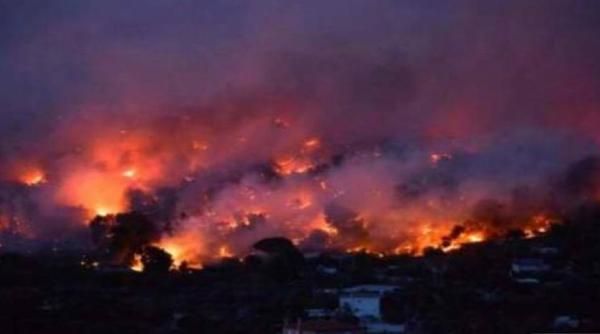 incendii padurea amazoniana  florinela georgescu  adevarat dezastru  ard suprafete comparabile cu cea a romaniei