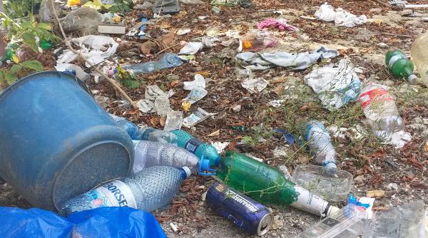 ecologistii clujeni acuzatii dure catre primarul emil boc sa faca lumina in proiectul tower park ajuns un focar de infectii foto