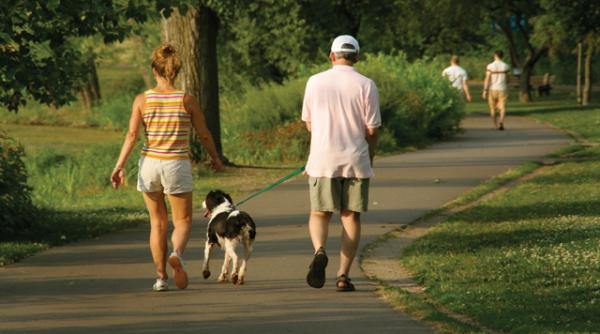 parcul panteon   nou mare parc in centrul bucurestiului  daniel florea  au inceput lucrarile