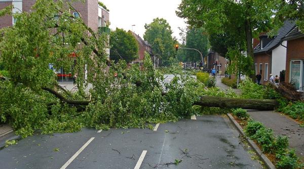 anm prognoza meteo cod galben de furtuna judete vizate