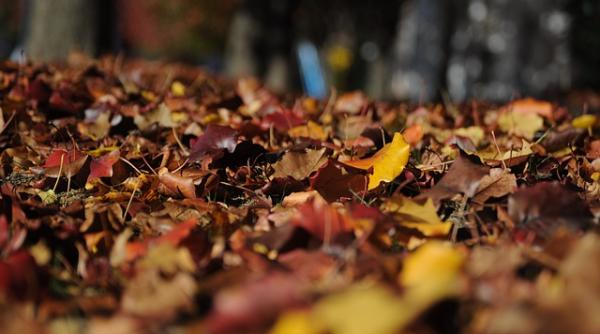 anm prognoza meteo vremea pe regiuni pana in 15 septembrie