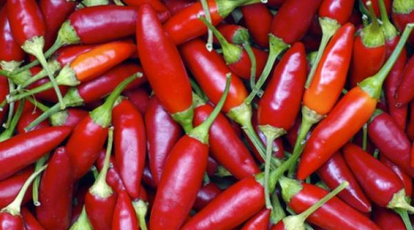 dieta cu ardei iute cum sa slabesti noua kilograme in doua saptamani