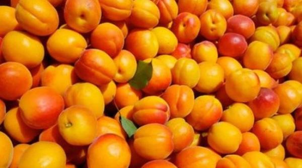 dieta cu caise scapa de doua kilograme in cinci zile