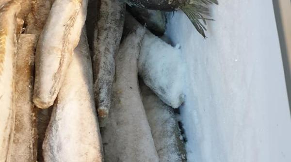 anpc  bilantul controalelor facute in hypermarketuri in 2019  tone de peste stricat si amenzi sute de mii de lei