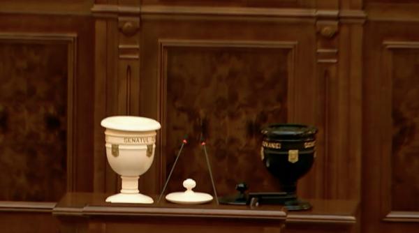 vot decisiv pentru senat teodor melescanu si alina gorghiu se vor infrunta in turul ii