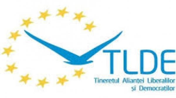 tineretul alde ii critica pe membrii propusi in guvern oportunism politic