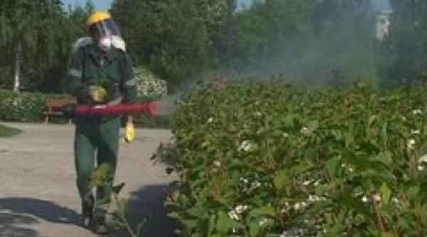 dezinsectie in sectorul 6 in ce zone se intervine