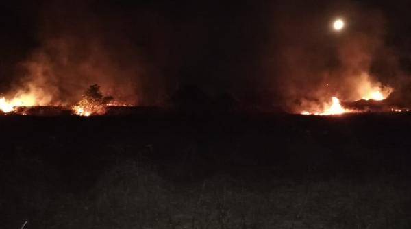 incendiu de proportii in apropiere de delta dunarii pompierii intervin de urgenta