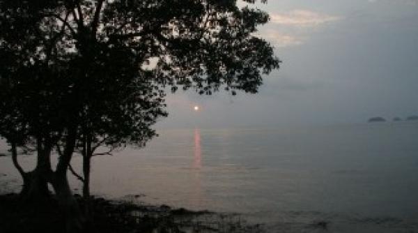 inundatii in thailanda 32 de morti si peste 23 000 de persoane evacuate