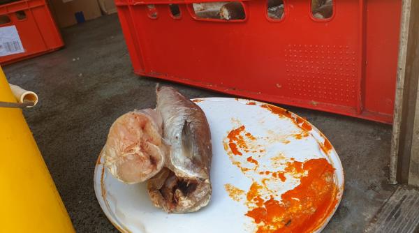 anpc razie la festivalul maghiar din brasov ce au descoperit inspectorii