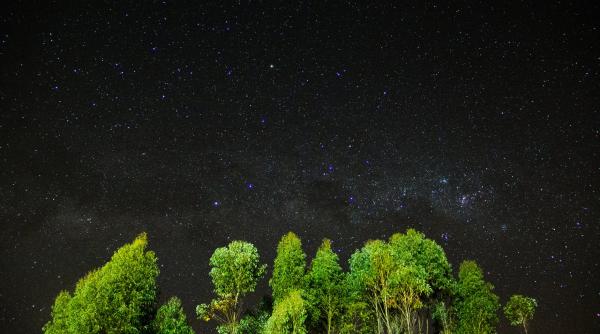 soc pentru o zodie ce i se intampla in curand nu poate scapa