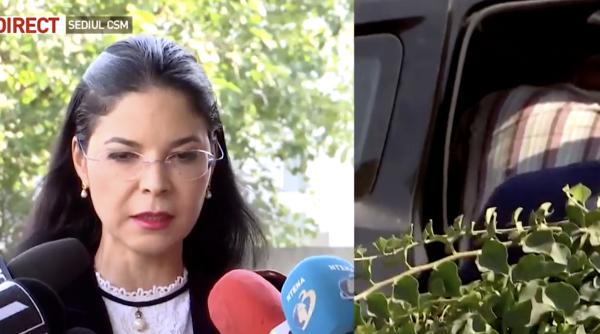 ana birchall despre cazul caracal ministrul justitiei are obligatia de rezerva