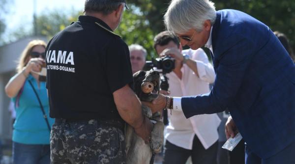 eugen teodorovici  cainii  exemplu de loialitate  merita cele mai bune conditii