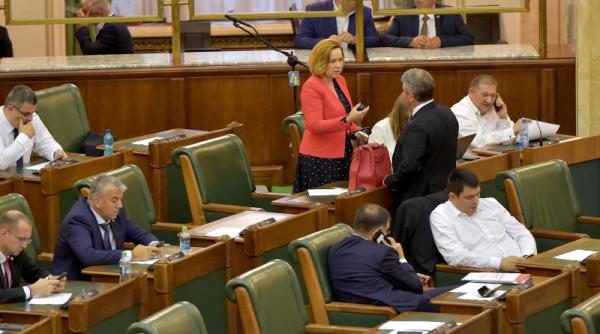 carmen dan ironie la adresa lui klaus iohannis dupa decizia ccr