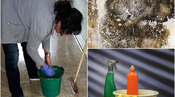 cum scapi de mucegai solutia ieftina care face minuni rezolvi problema garantat