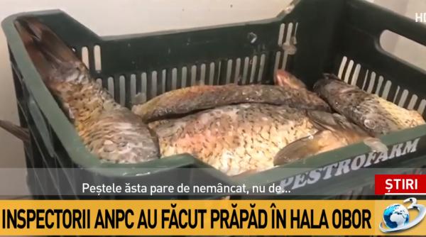 situatie revoltatoare in hala obor pestele si carnea pastrate printre excremente de soareci