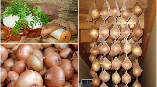 de ce sa pastrezi ceapa intr un ciorap de dama trucul din batrani care nu da gres
