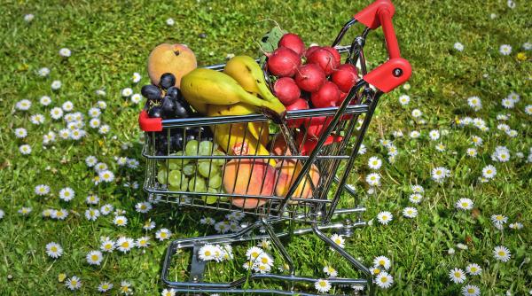 alimente sanatoase transformate in nesanatoase dr anca hancu despre greselile din dieta