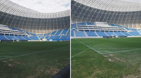 gazon hibrid pe ion oblemenco