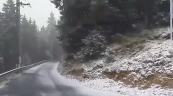 ninge in romania foto video de la munte