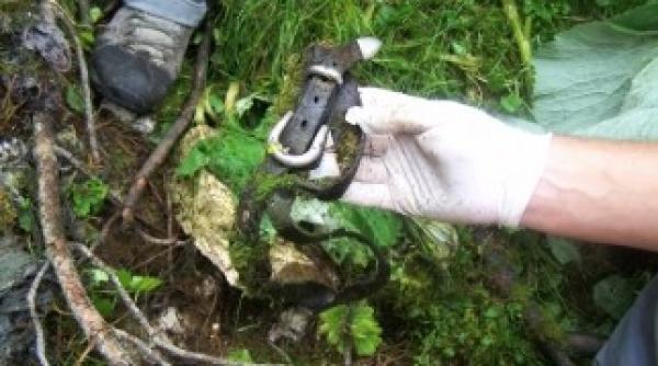 piatra craiului persoanele cazute in rapa in timpul maratonului au murit