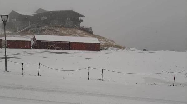 ninge in romania primele imagini