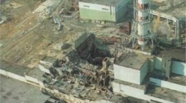 soiuri de ciuperci inca radioactiove la peste 30 de ani de la dezastrul de la cernobal