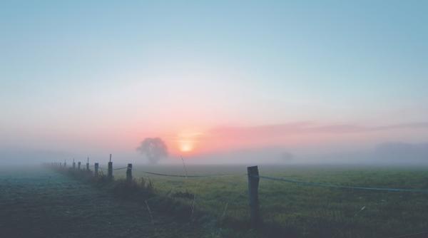 cod galben de ceata in judetul harghita