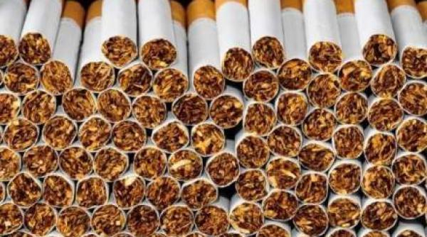 contrabanda cu tigari de peste 77 000 de lei la frontiera din sighetu marmatiei