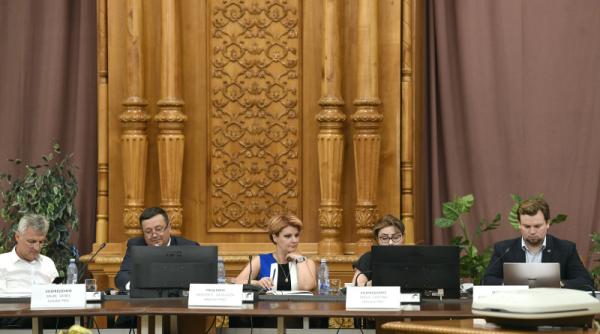 lia olguta vasilescu uimita de iohannis sa faca asemenea prostioare vai de noi