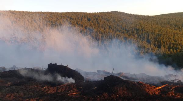 incendiu de padure in judetul covasna zeci de pompieri si localnici mobilizati