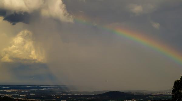 director anm pericolul e unui extrem de puternic ritm mai accelerat decat era anticipat