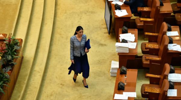 raport mcv ana birchall primele declaratii