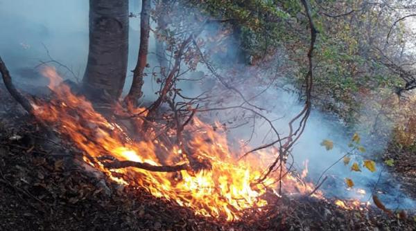 incendii de padure in judetul hunedoara zeci de pompieri intervin