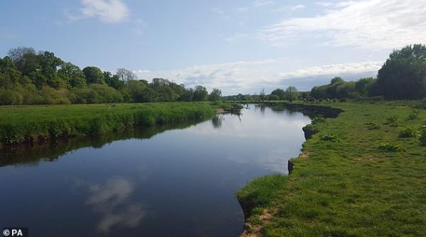 orasele unde se consuma cele mai multe droguri dupa analiza apei reziduale