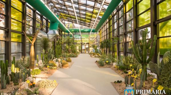 serele din parcul drumul taberei  deschise  program de vizitare